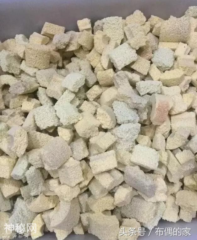 资深养鱼大师把细菌屋整条打碎，令人意想不到的是效果翻了好几倍-3.jpg