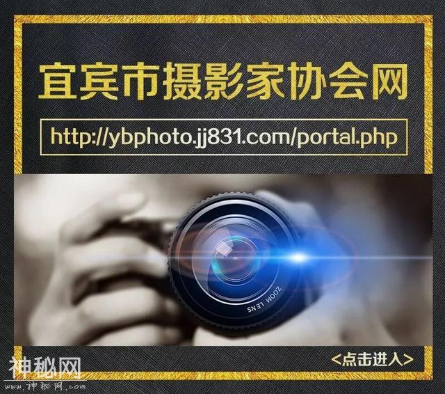 一年中身体最难熬的40天，做好这6件事健康度过-1.jpg