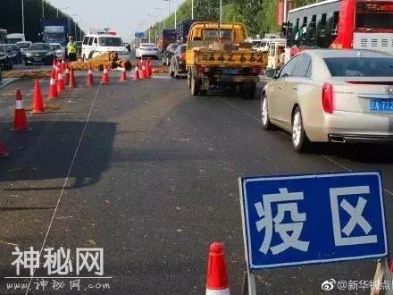 「应急宣教」沈阳发现非洲猪瘟疫情 这是什么病？对人有影响吗？-3.jpg