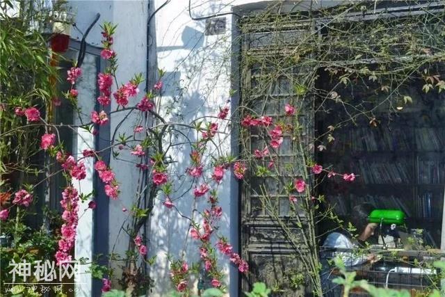 「人文无锡」塞纳河VS古运河 让生活重回河岸-19.jpg
