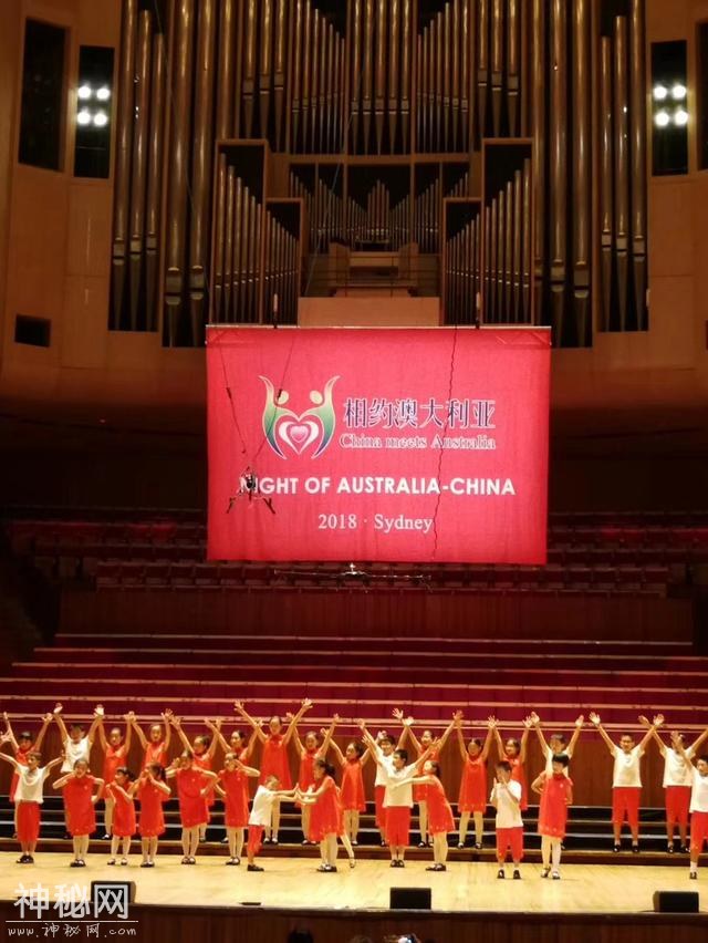 国际舞台映射中澳人文交流 引文化外交迈向新征程-5.jpg