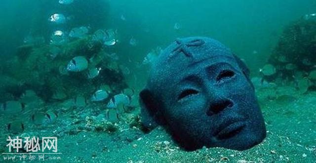 大海深处那些未知生物-1.jpg