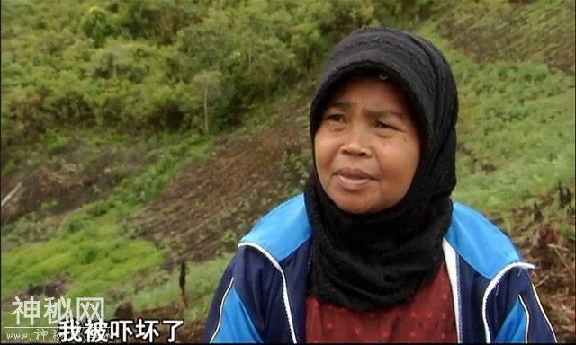 这家伙身价比不上神农架野人，但其90cm身高足以改写人类历史-2.jpg