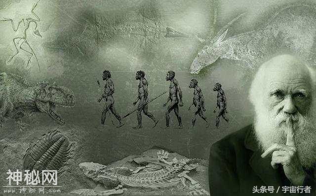 这种生物生命力是人类5倍，若人类灭绝，它将取代人类成统治者-2.jpg