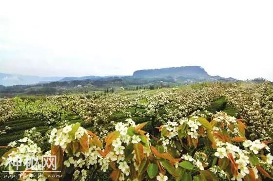 今年春节四川竟然有这么多景点免费开放，而且冷门人少！-13.jpg
