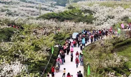今年春节四川竟然有这么多景点免费开放，而且冷门人少！-15.jpg