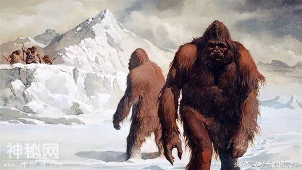 读老报：九十年代喜马拉雅雪人，究竟是科学骗局还是未知生物？-3.jpg