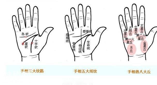 以相取人是符合自然现象的，教你用手相把握未来-1.jpg