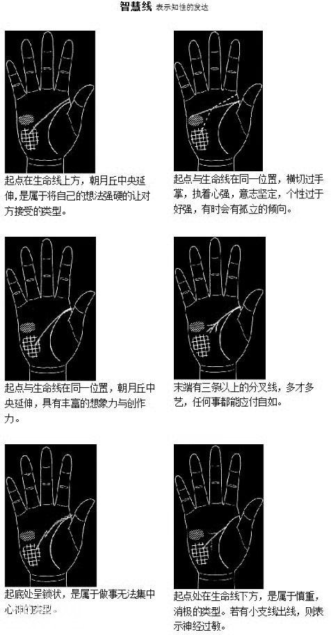 以相取人是符合自然现象的，教你用手相把握未来-4.jpg