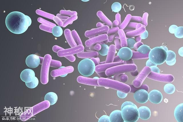 超级细菌来袭，人类对战病菌的形势严峻 合理使用抗生素势在必行-1.jpg