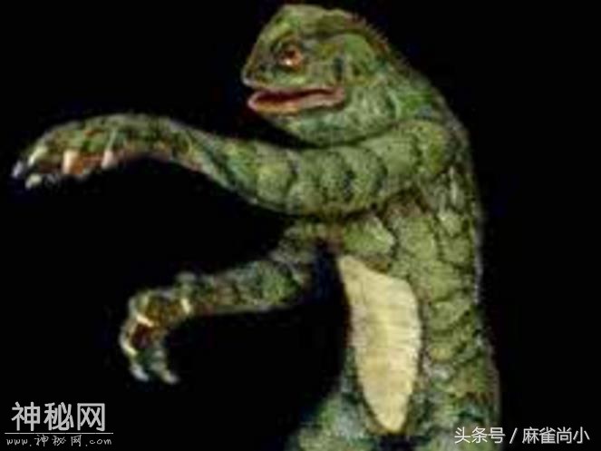 5种奇异隐秘的未知生物，第4种在中国真实存在过-5.jpg
