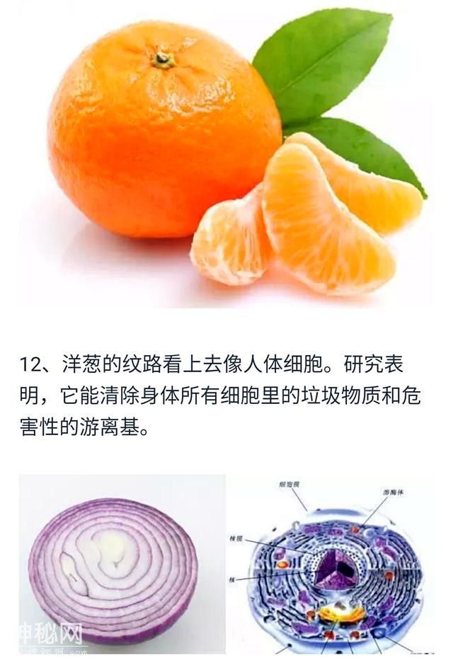 史上最全养生保健知识，拿走不谢！-13.jpg