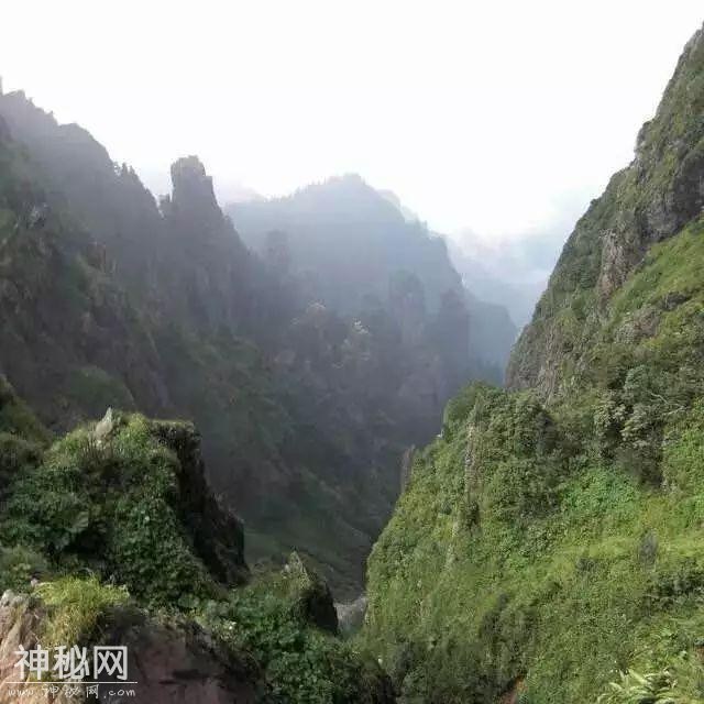 神农架旅游攻略（收藏备用）-5.jpg
