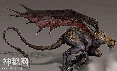 世界十大恐怖生物-7.jpg
