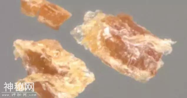 世界考古史上最令人毛骨悚然的十个恐怖发现-3.jpg