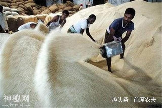 我国是农业大国，粮食产能充足，那为何还要进口粮食呢？-1.jpg