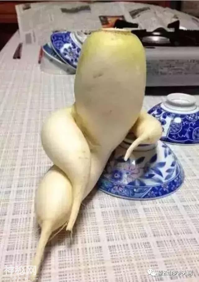 过大年什么味道？湖南各地年俗大盘点！有你家乡的风俗吗？-5.jpg