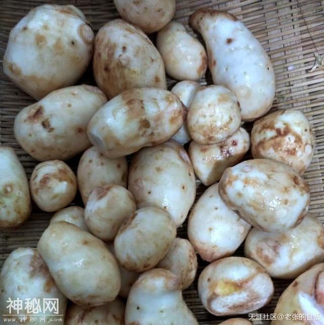 成都美食不只是火锅串串，还有一种另类美食-1.jpg