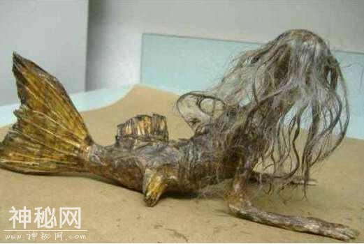 6种神秘诡异的未知生物，第3种极有可能真实存在-5.jpg