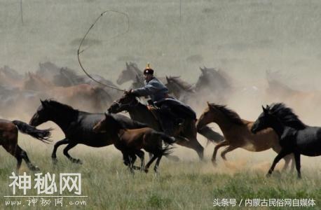 民俗文化｜绳索套马-4.jpg