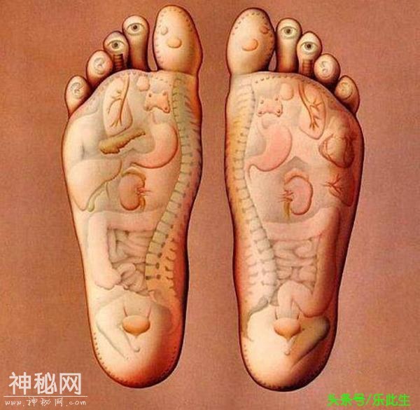 人体器官工作表 得让爸妈好好注意身体了 从今天一起来养生-2.jpg