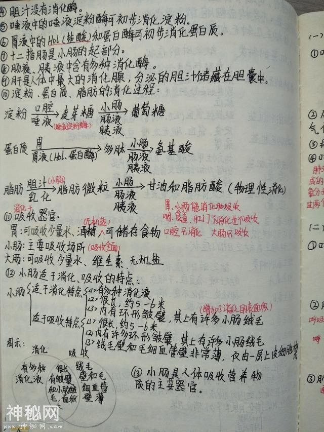 《四A级小中考笔记》，五四制生物（一）-5.jpg