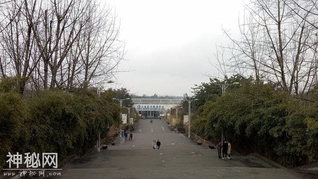 成都三圣乡幸福梅林，感谢最后入镜的女孩，你是今天最亮丽的风景-2.jpg