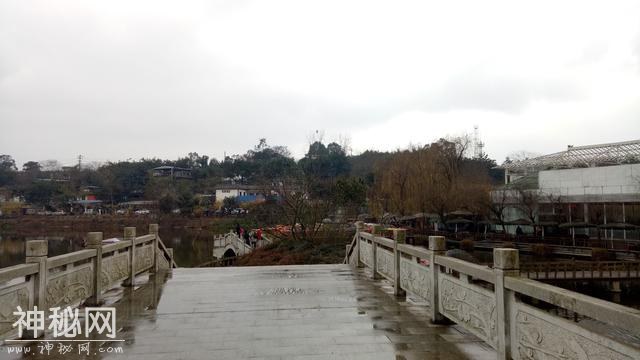 成都三圣乡幸福梅林，感谢最后入镜的女孩，你是今天最亮丽的风景-6.jpg