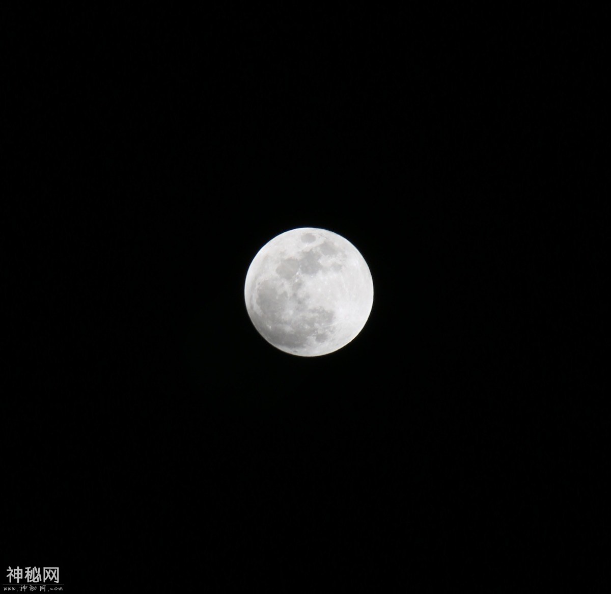图虫人文摄影：超级蓝月全食-1.jpg