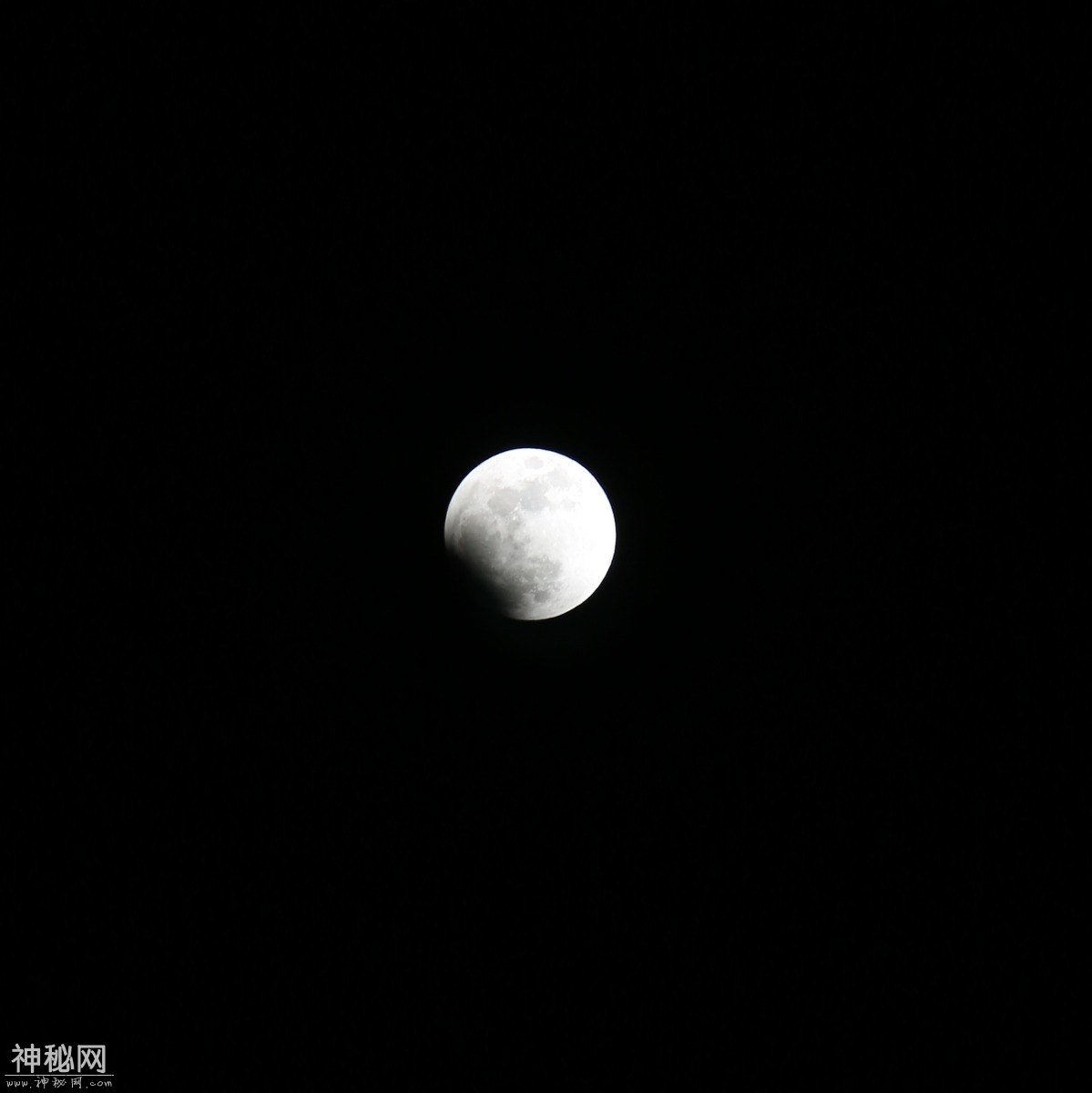 图虫人文摄影：超级蓝月全食-3.jpg