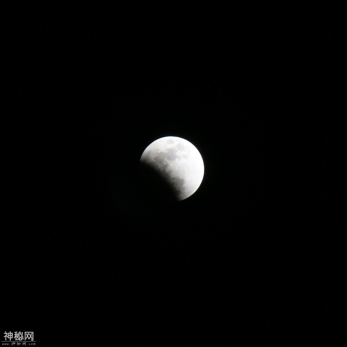 图虫人文摄影：超级蓝月全食-4.jpg