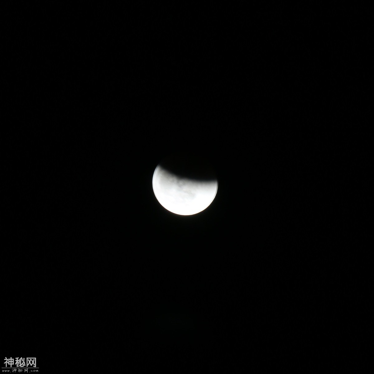 图虫人文摄影：超级蓝月全食-15.jpg