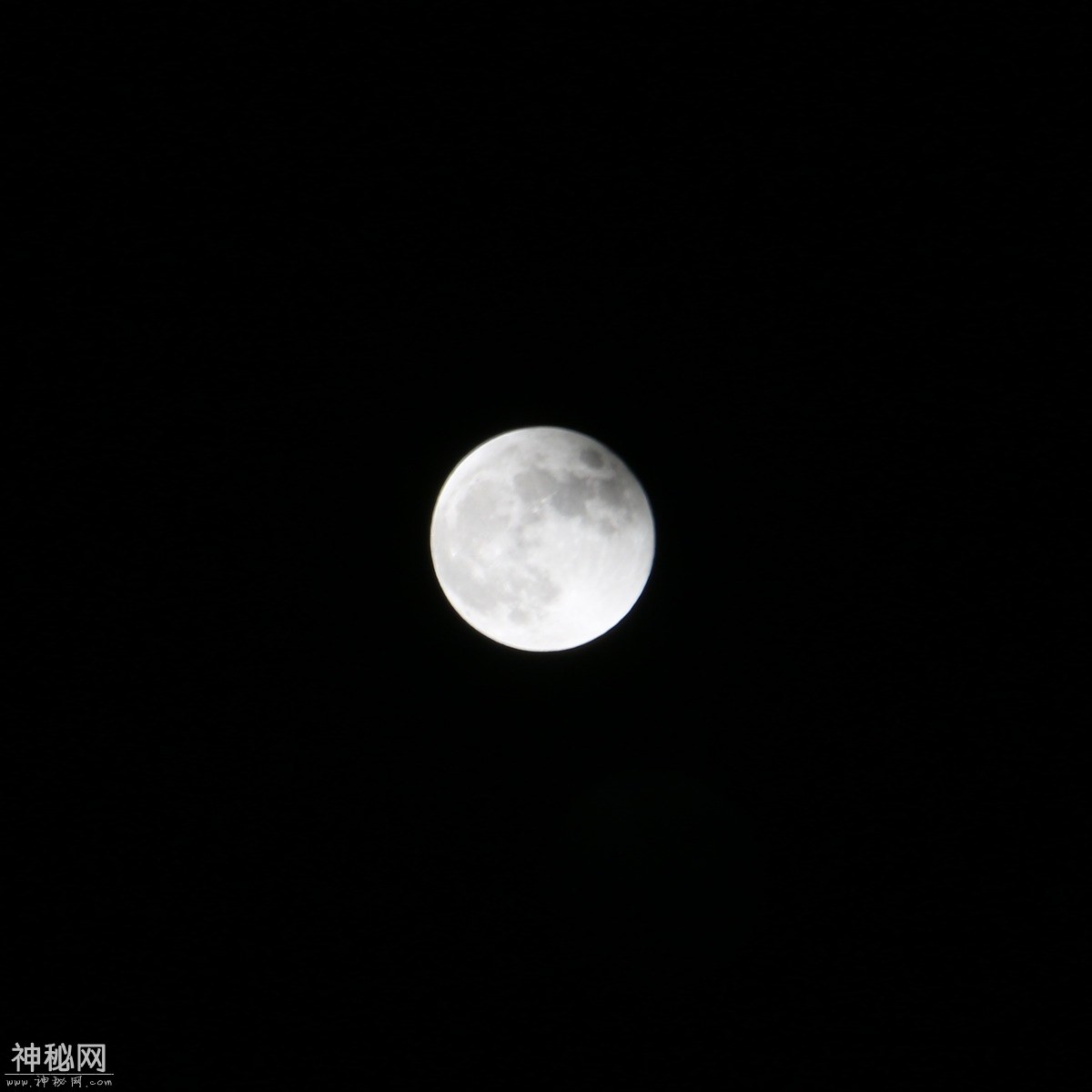 图虫人文摄影：超级蓝月全食-17.jpg