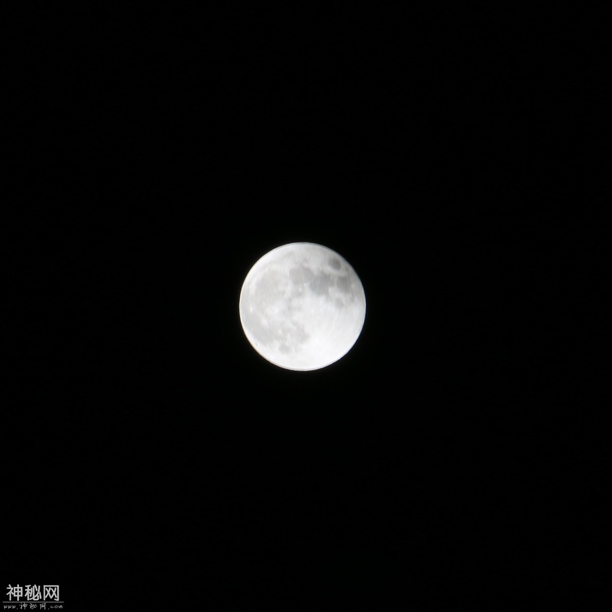 图虫人文摄影：超级蓝月全食-18.jpg