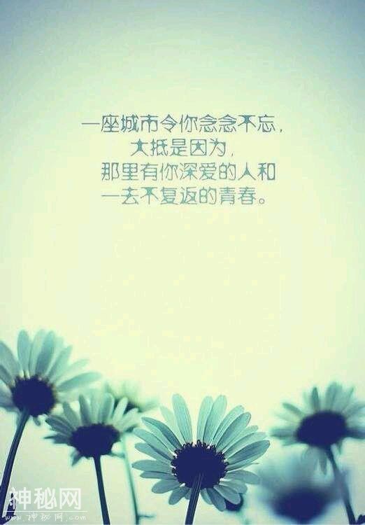 经典散文：寂寞是爱开的花-2.jpg