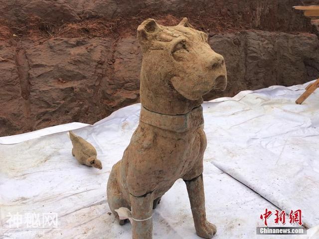 成都发现大型汉晋南北朝崖墓群 内含“西域风”铜像-4.jpg