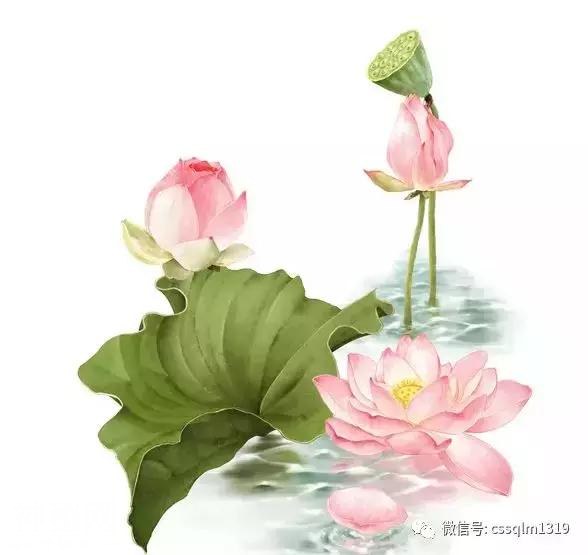 清静，并不遥远！-3.jpg