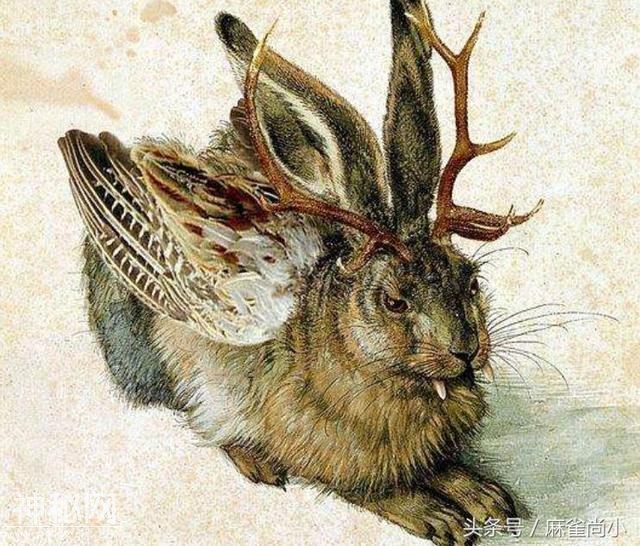 5种传闻中出现的未知生物，第3种被认为真实存在-1.jpg