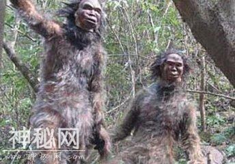 野人！野人！瞧瞧融水野人路子野不？-5.jpg
