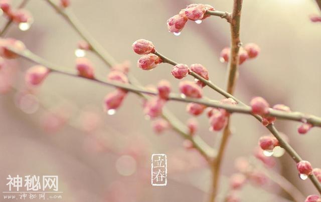 立春将至，放假也要养生！中医提醒：吃这5种食物养颜又健康！-1.jpg