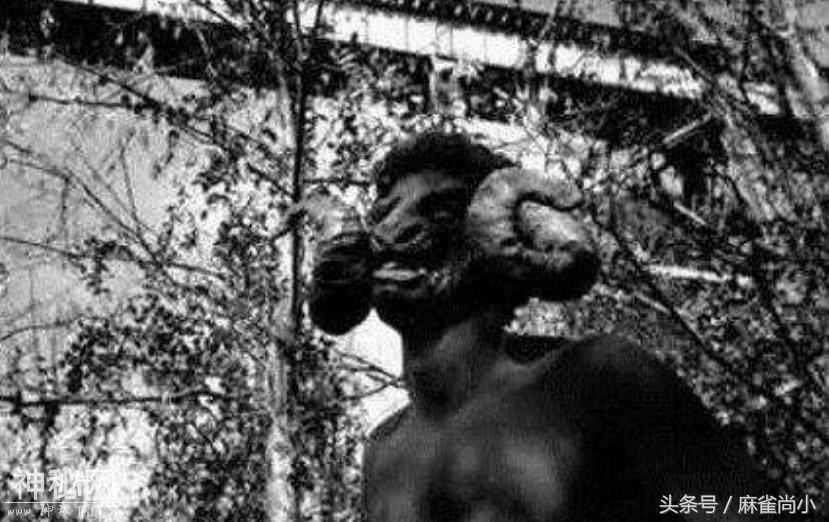 5种极为神秘的未知生物，第3种存在中国，可能已灭绝-4.jpg