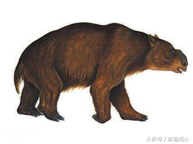5种极为神秘的未知生物，第3种存在中国，可能已灭绝-5.jpg
