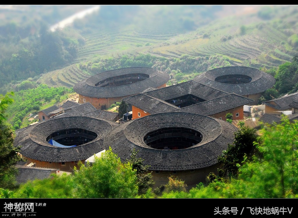 南靖土楼——“天上掉下的飞碟，地上长出的蘑菇”-2.jpg