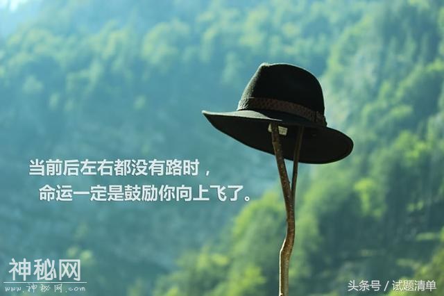 「高考地理」高三地理复习 三类农业区-1.jpg