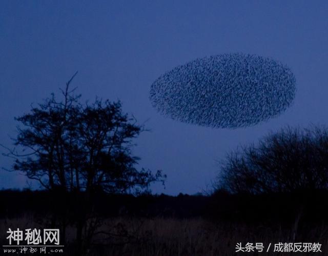 20个让人难以置信的自然现象-15.jpg