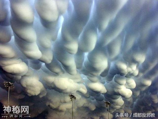 20个让人难以置信的自然现象-20.jpg