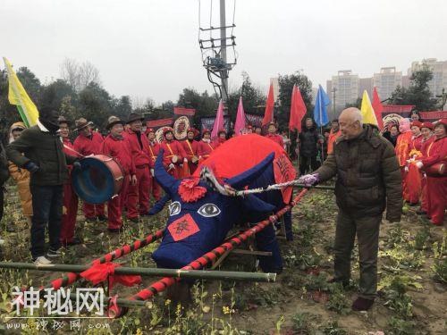 今天立春！双流这群人集中在做这事！还有数千市民和外国友人围观-4.jpg