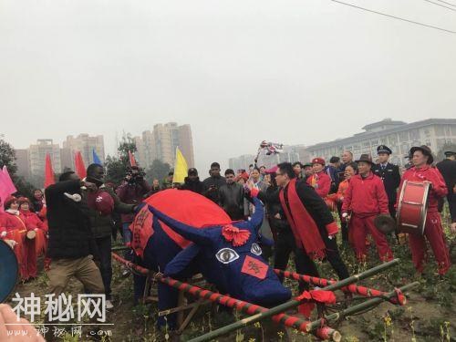 今天立春！双流这群人集中在做这事！还有数千市民和外国友人围观-5.jpg