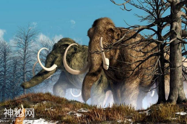 盘点远古时期5种凶悍生物，其中一种有望被人重新“复活”-3.jpg
