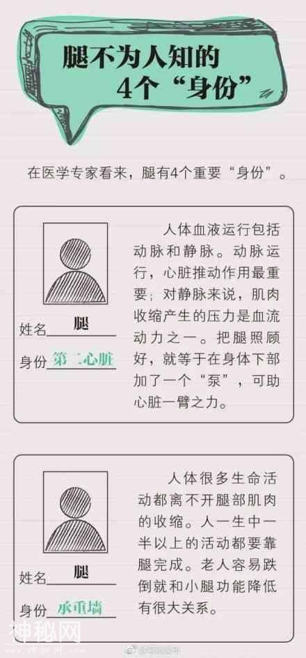 养好人体的“第二心脏”——腿！专家推荐5个养腿操-2.jpg